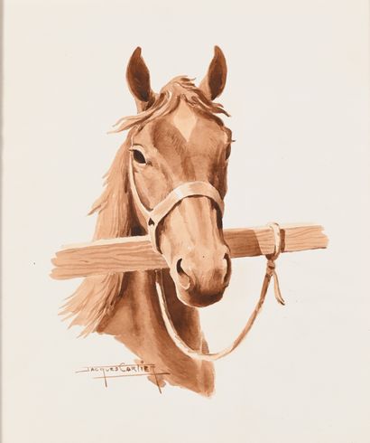 Jacques CARTIER (1907-2001). Harnessed Horse....