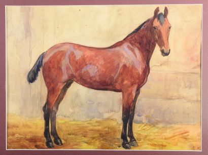 Pierre DUBAUT (1886-1968) Portrait de cheval....