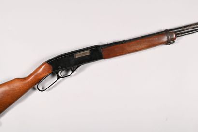 Winchester rifle model 150, caliber 22lr...