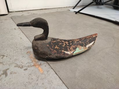 Pintail duck. Polychrome palmwood decoy....