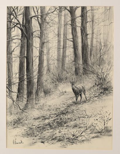 Arnaud FREMINET (1961). Brocade en sous bois....