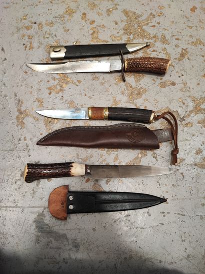 Stag handle straight hunting knife, 21.5...