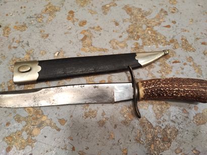 Stag handle straight hunting knife, 21.5...