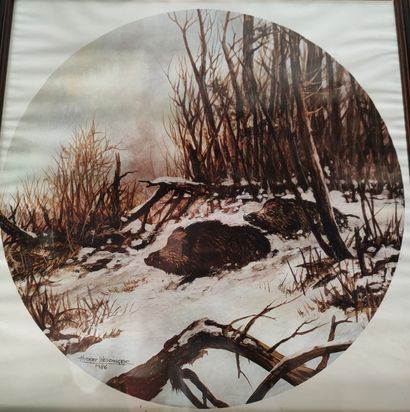 Emmanuel FRACHON. -Studies of wild boars....