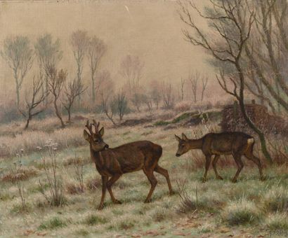 Georges Frédéric RÖTIG (1873-1961). Deer....