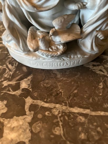 Cookie
The curiosity
18th century style
H...