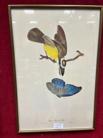 Five block prints Birds 
45 x 30 cm 
Dir...