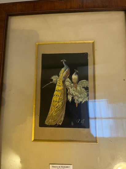 Lot of frames including engraving of a river...