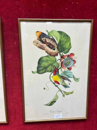 Five block prints Birds 
45 x 30 cm 
Dir...
