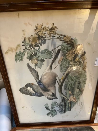 Lot of various framed pieces: vue de Versailles,...