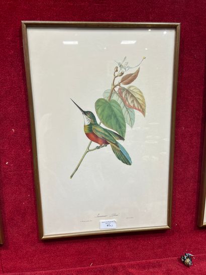 Five block prints Birds 
45 x 30 cm 
Dir...