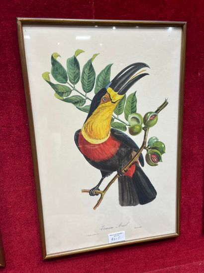 Five block prints Birds 
45 x 30 cm 
Dir...