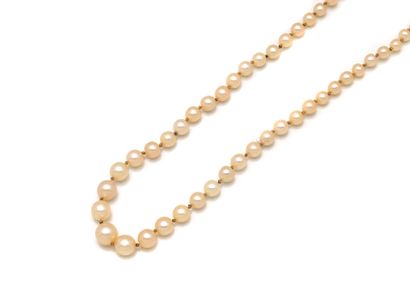 Necklace featuring a drop of probably fine...