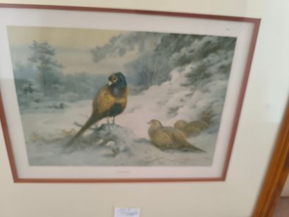 7 gravures ou reproduction comprenant : D'après...