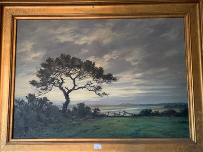 André DAUCHEZ (1870-1948), Campagne en bord...