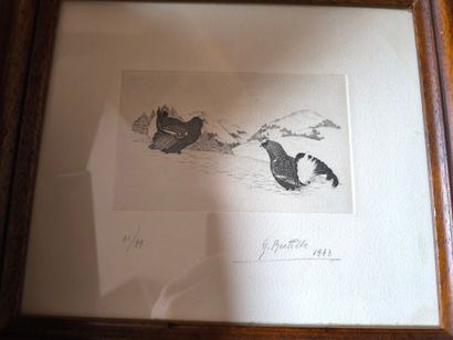 Tétras et bécasses. 4 gravures en noir d'après...