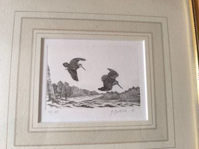 Tétras et bécasses. 4 gravures en noir d'après...