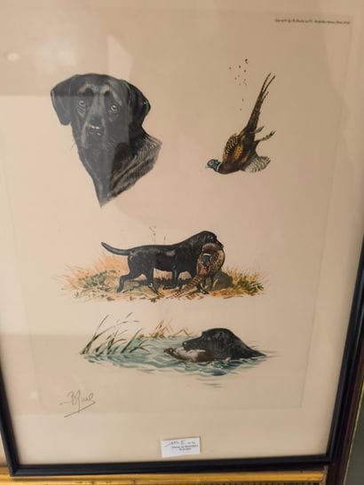 7 gravures ou reproduction comprenant : D'après...