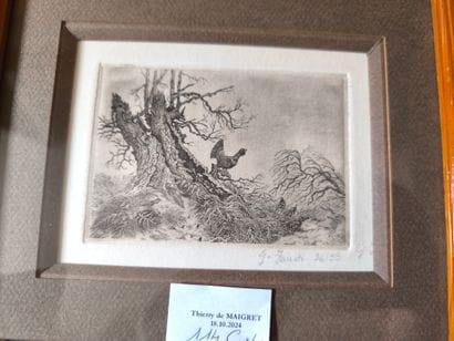 Tétras et bécasses. 4 gravures en noir d'après...