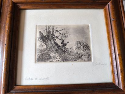 Tétras et bécasses. 4 gravures en noir d'après...