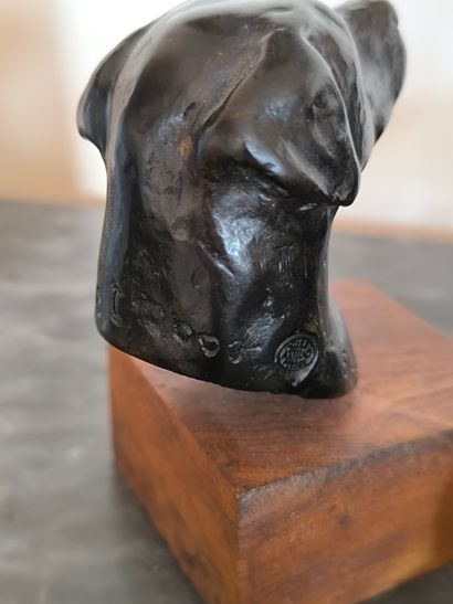 AJACQUES. Groupe chien.Bronze. Lo,g.: 19...