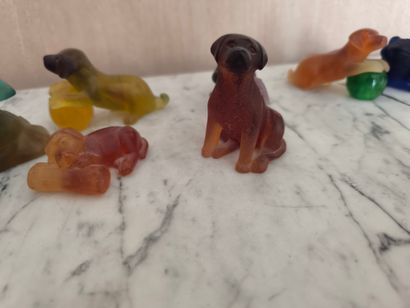 Daum. Lot de 6 groupes Chiens. (accidents...