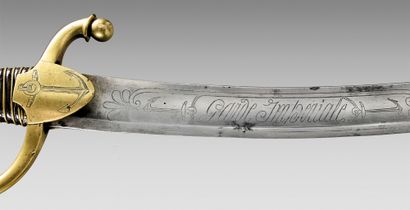 Imperial Guard sailor's saber by Duc, brass...