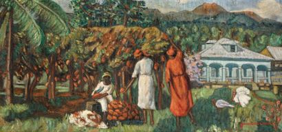 CASSE Germaine
Cueillette de cacao en Guadeloupe...