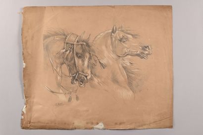 Aimée DUPUIS (1803-1864) et attribué à
Études...