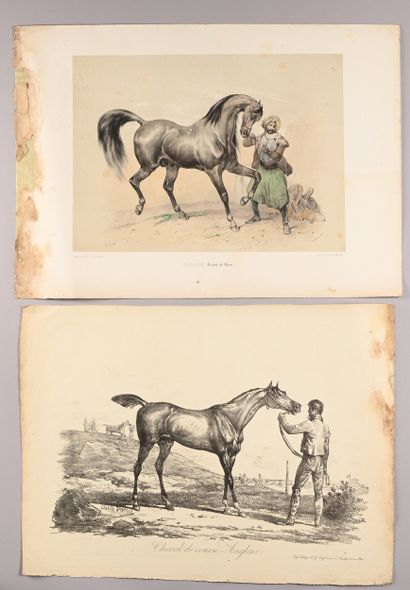 Aimée DUPUIS (1803-1864) et attribué à
Études...