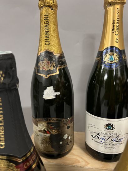 6 bottles CHAMPAGNE DIVERS
(3 B. Féry-Bertin:...
