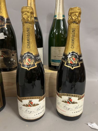 6 bottles CHAMPAGNE DIVERS
(3 B. Féry-Bertin:...