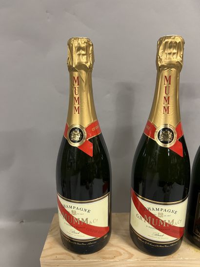 3 bottles CHAMPAGNE DIVERS
(1 Moet & Chandon,...