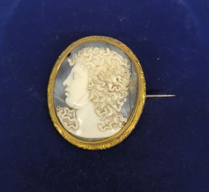 Cameo brooch featuring the bust of Medusa...