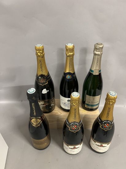 6 bottles CHAMPAGNE DIVERS
(3 B. Féry-Bertin:...