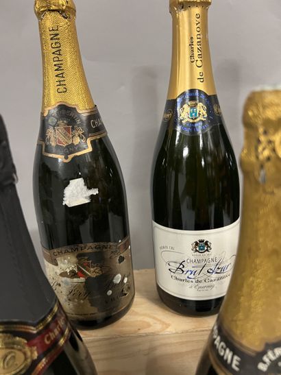 6 bottles CHAMPAGNE DIVERS
(3 B. Féry-Bertin:...