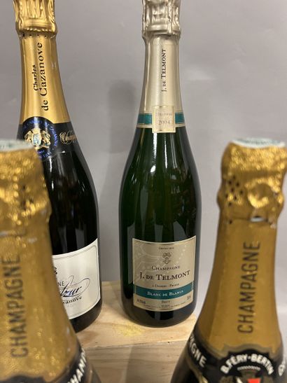 6 bottles CHAMPAGNE DIVERS
(3 B. Féry-Bertin:...