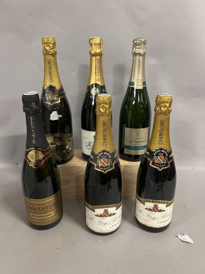 6 bottles CHAMPAGNE DIVERS
(3 B. Féry-Bertin:...