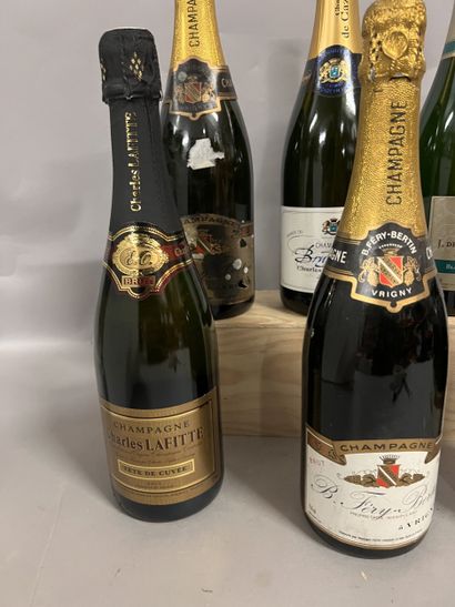 6 bottles CHAMPAGNE DIVERS
(3 B. Féry-Bertin:...