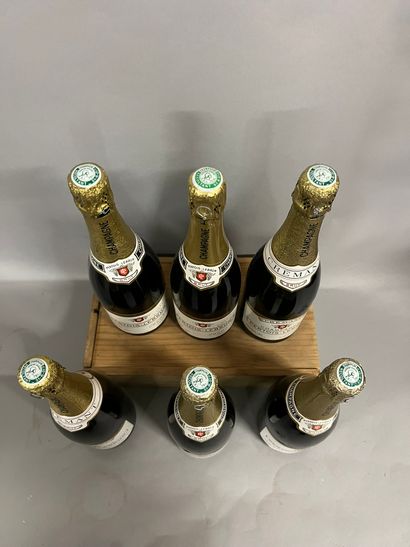 6 bottles CHAMPAGNE 