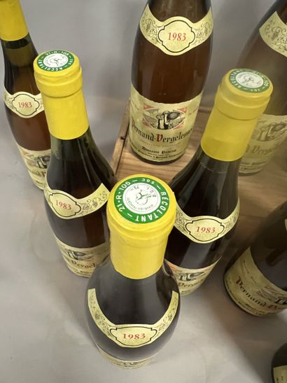 11 bottles PERNAND-VERGELESSES Pavelot 1983...