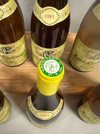 6 bottles CORTON CHARLEMAGNE, Pavelot 19...