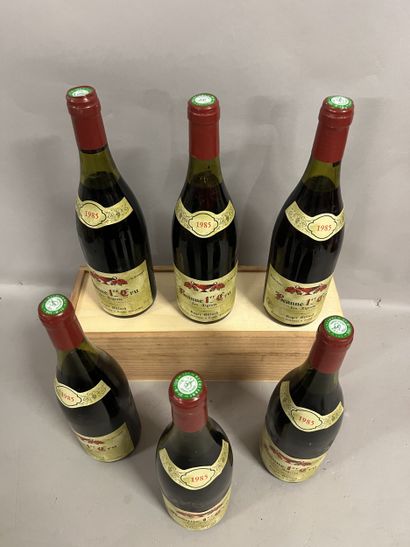 6 bouteilles BEAUNE 