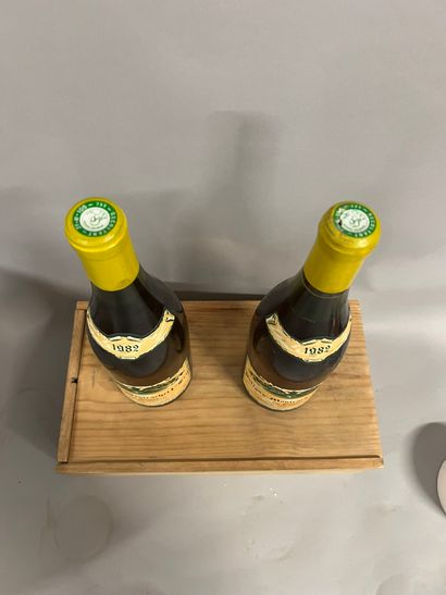 2 bottles PULIGNY-MONTRACHET 