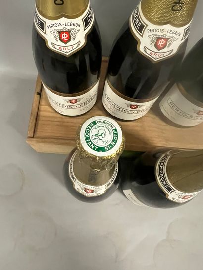 5 bottles CHAMPAGNE 