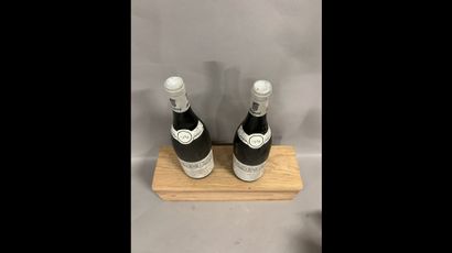 2 bottles PULIGNY-MONTRACHET 
