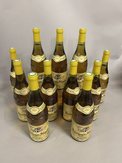 11 bottles BOURGOGNE aligoté, Pavelot 1983...