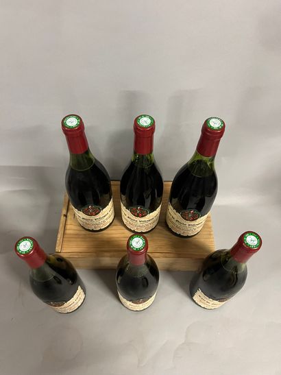 5 bottles COTE DE NUITS VILLAGES, H. Gilles...