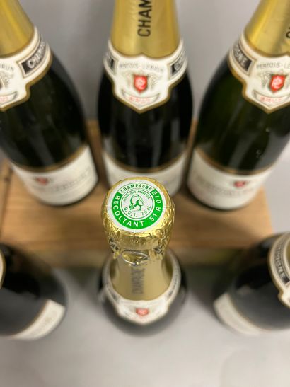 6 bottles CHAMPAGNE 