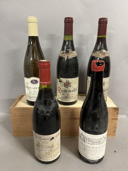 5 bouteilles BOURGOGNE DIVERS, (1 Bouchard...